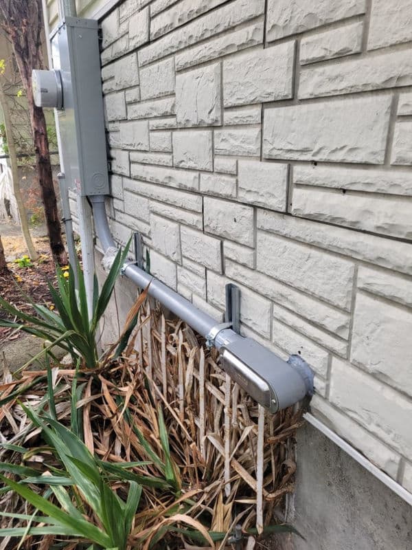 Gas meter installation on a stone wall with overgrown plants at the base.