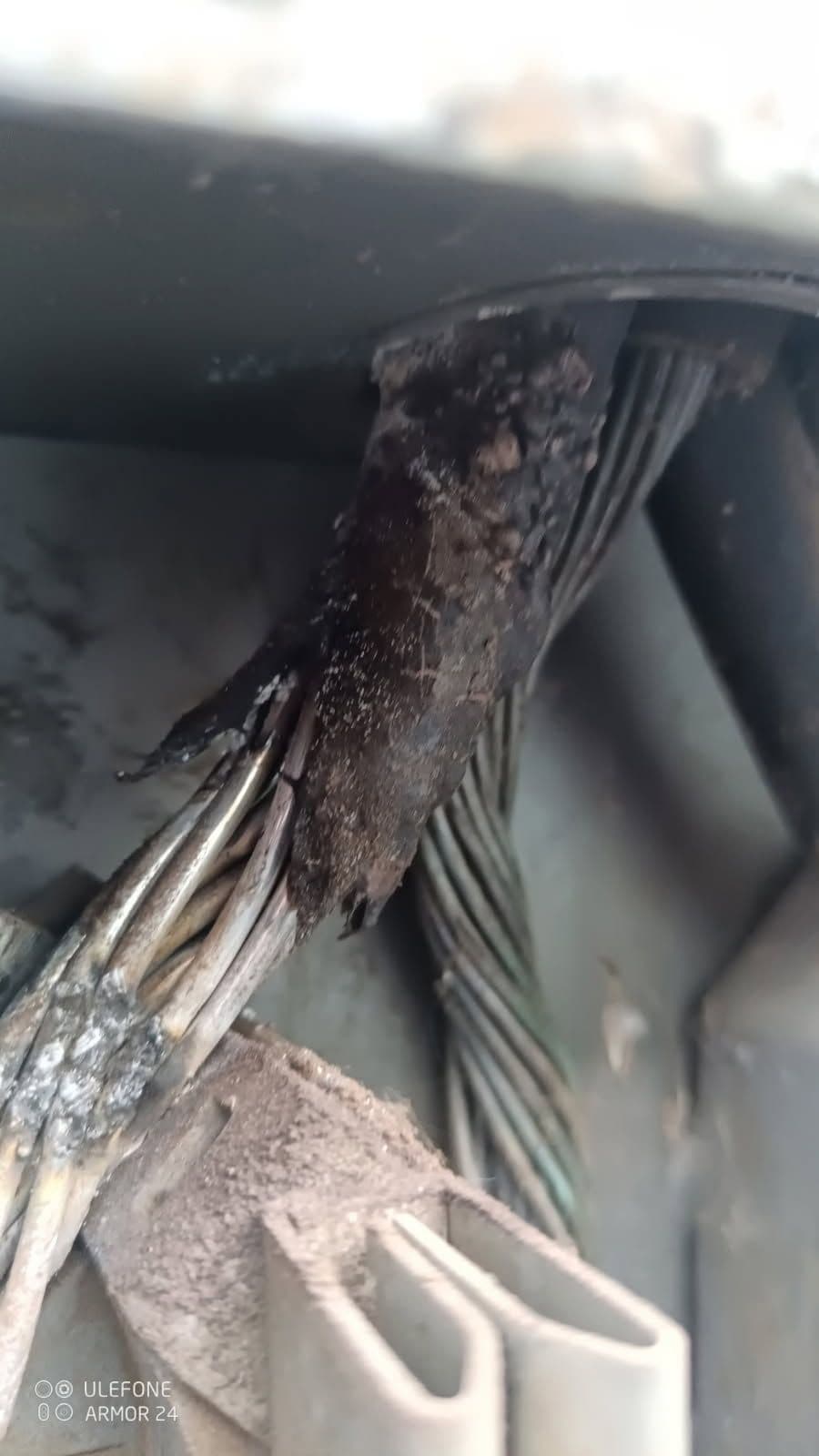 Prevent Electrical Hazards with Expert Inspections