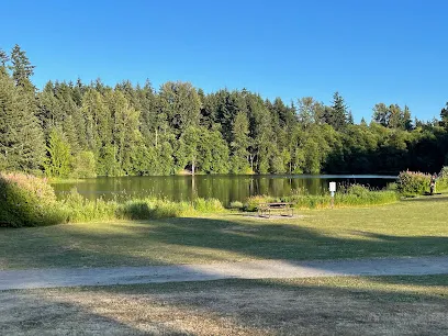 Grassy lawn and walking path beside the calm lake at Bradley Lake Park, with tall evergreen trees behind it
