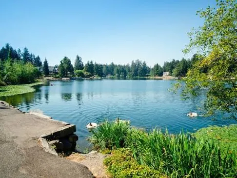 Calm blue lake with ducks, tall evergreens on the far shore and a paved path in Spanaway Park