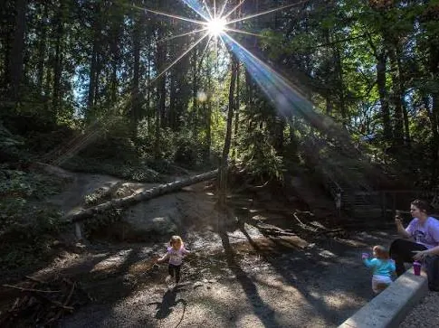 Sun streaming through tall trees over a dirt clearing at Wildwood Park, with a toddler walking and a woman sitting nearby